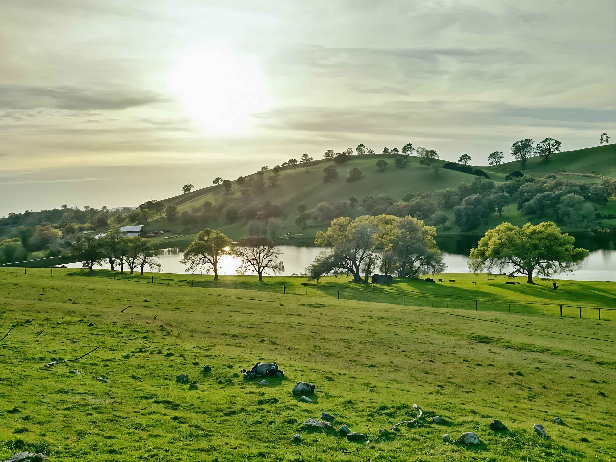 Amador Our-18-acre-lake