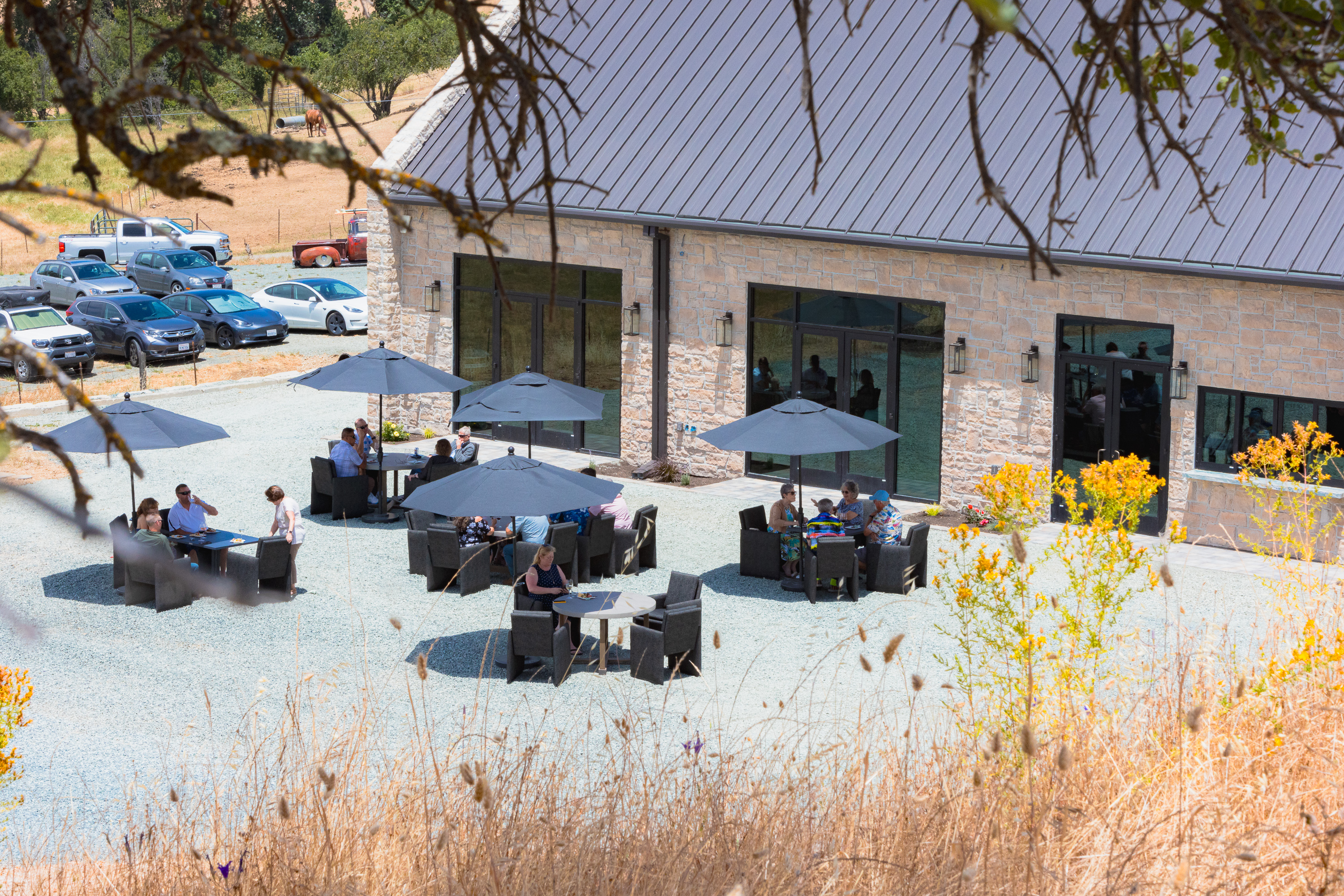 domenico-ione_7I7A1020